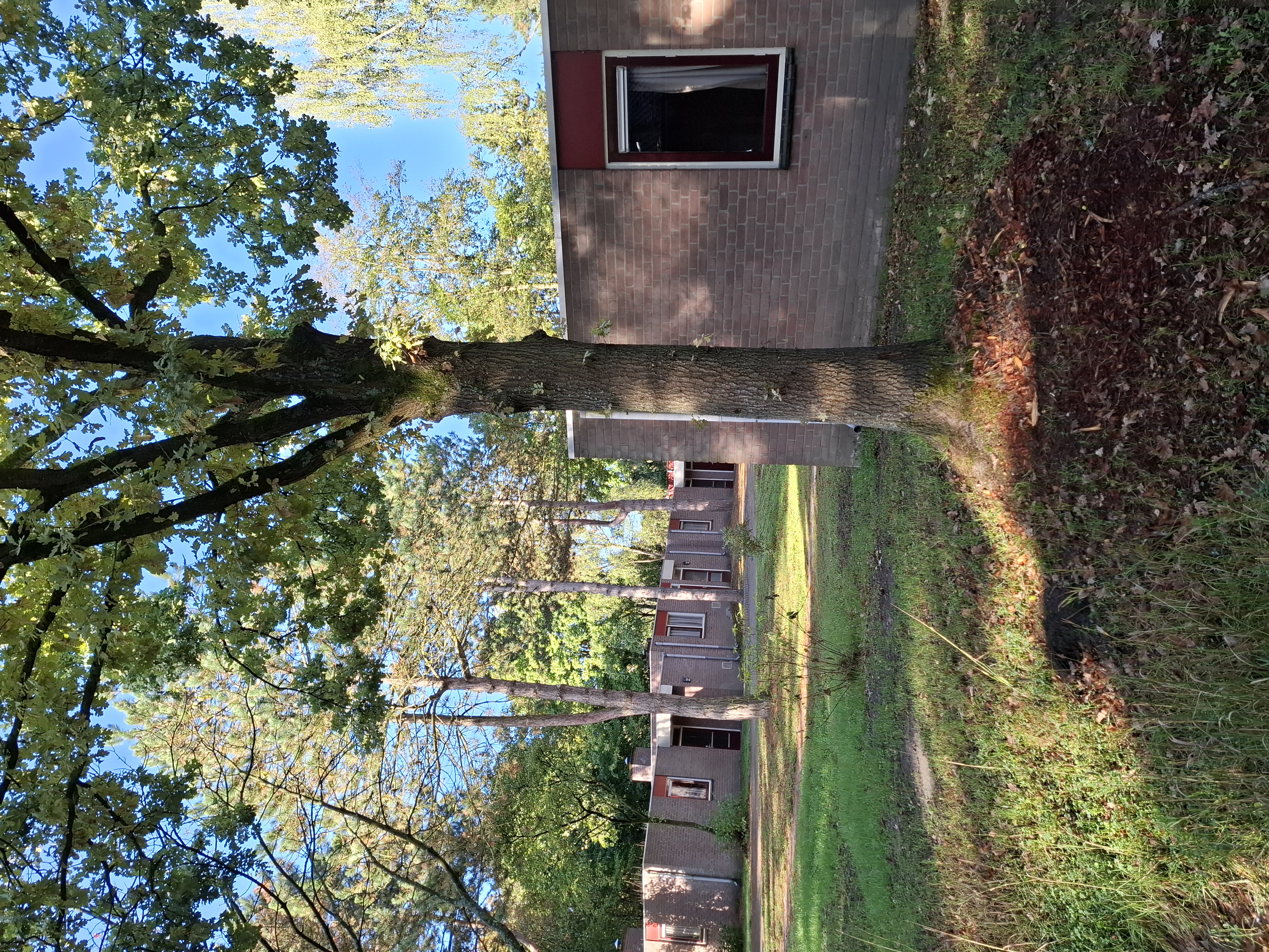 Vakantiepark Roompot Weerterbergen Review (Limburg) | Ervaringen & tips