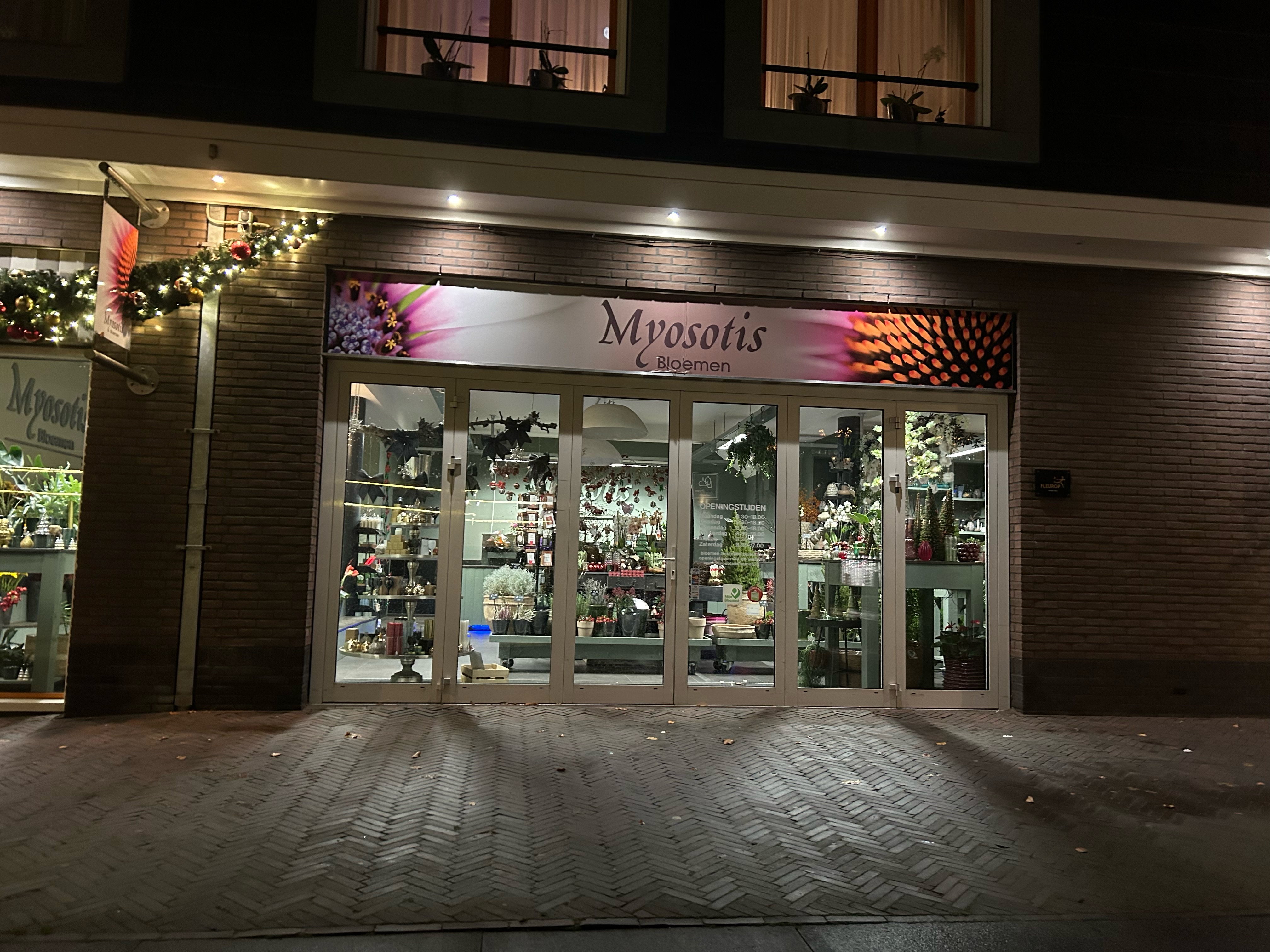 Myosotis Bloemen Review